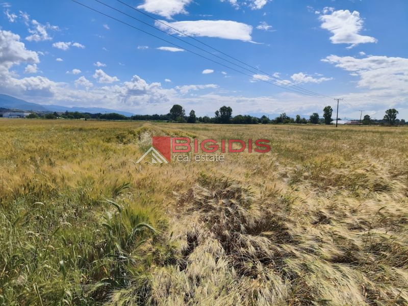 property-img