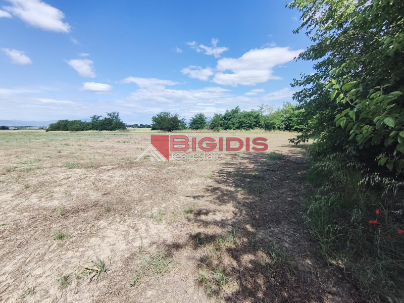 property-img