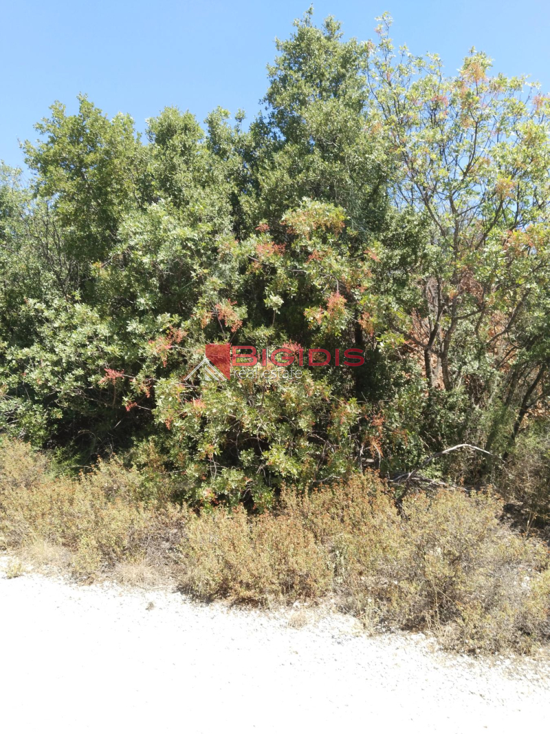 property-img