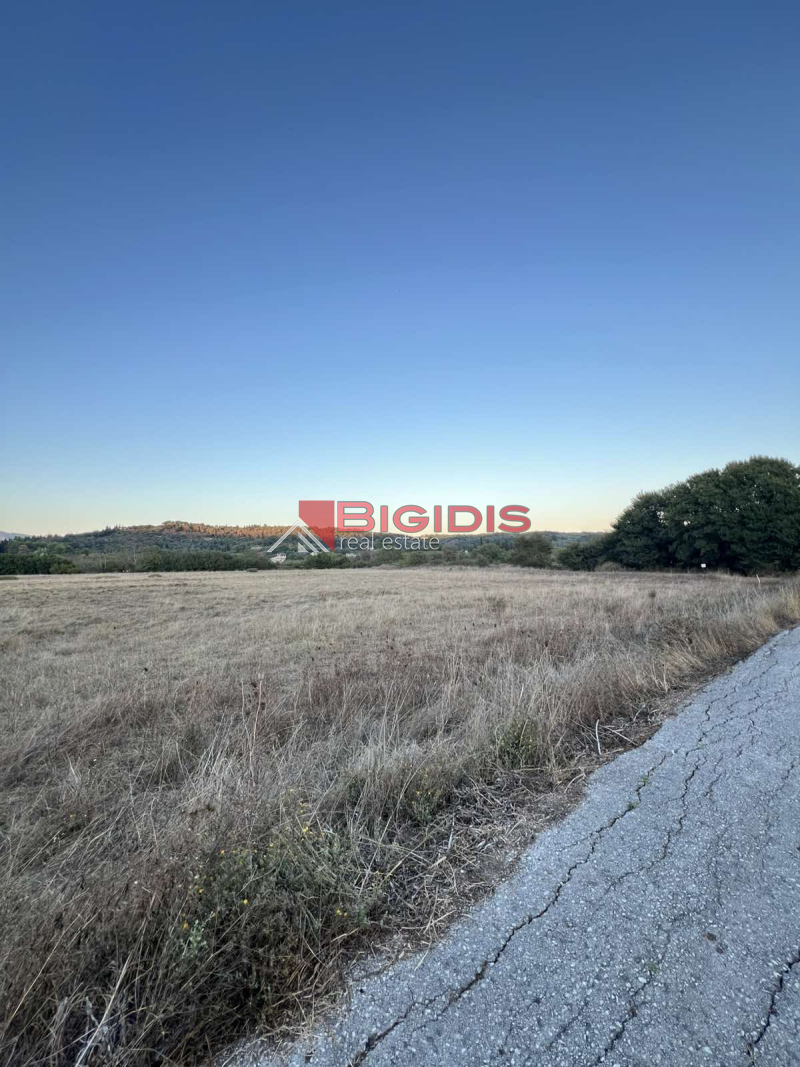 property-img
