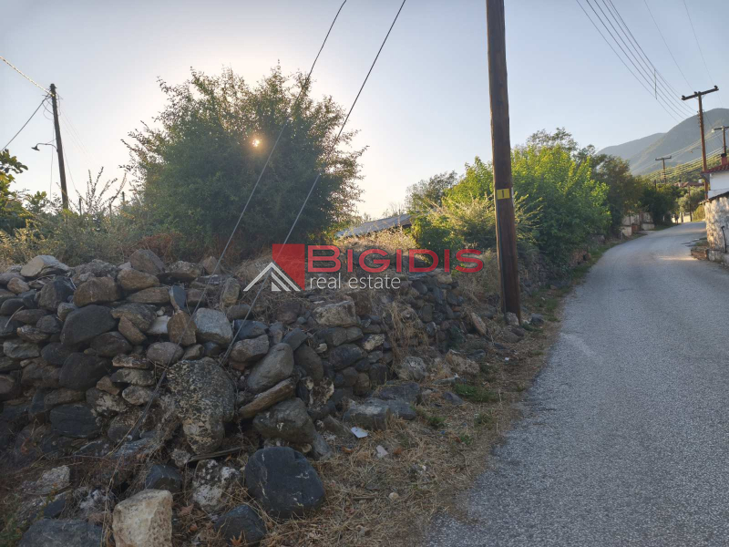 property-img