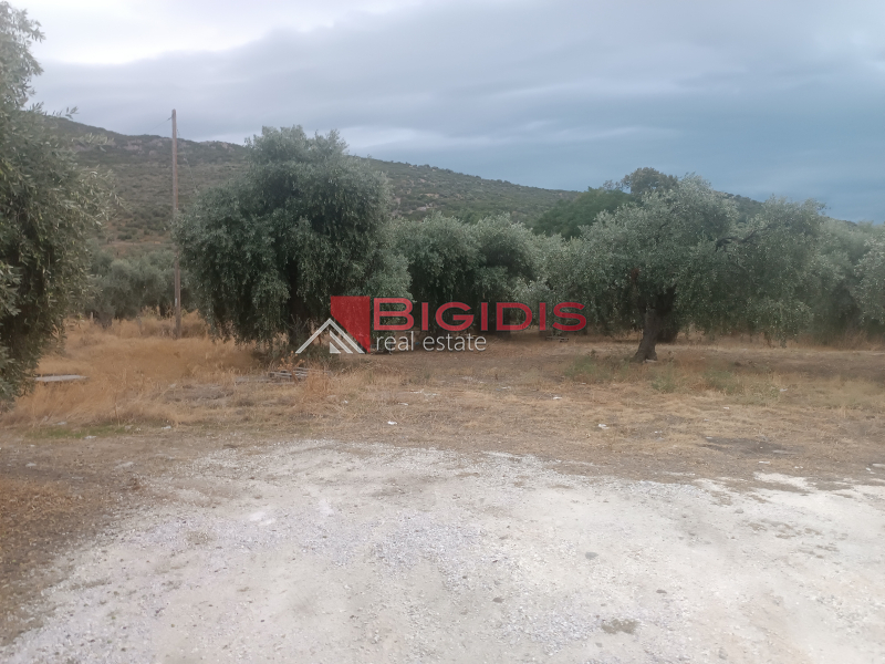 property-img
