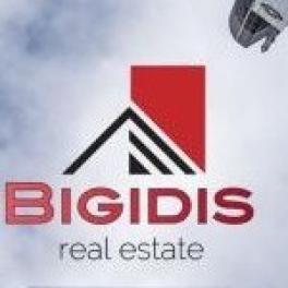 realestate-agent